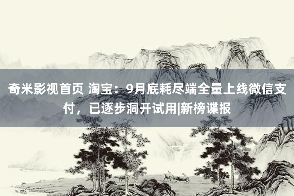 奇米影视首页 淘宝：9月底耗尽端全量上线微信支付，已逐步洞开试用|新榜谍报