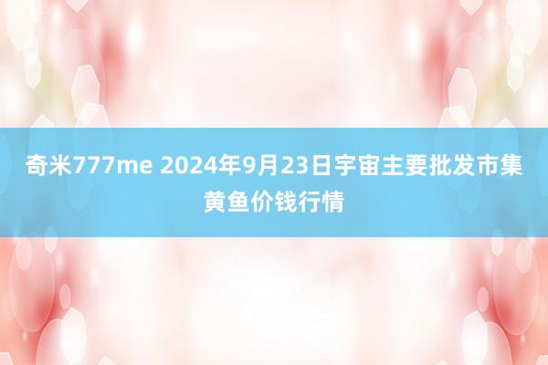 奇米777me 2024年9月23日宇宙主要批发市集黄鱼价钱行情