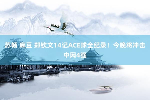 苏畅 麻豆 郑钦文14记ACE球全纪录！今晚将冲击中网4强