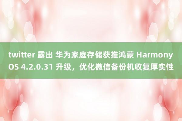 twitter 露出 华为家庭存储获推鸿蒙 HarmonyOS 4.2.0.31 升级，优化微信备份机收复厚实性