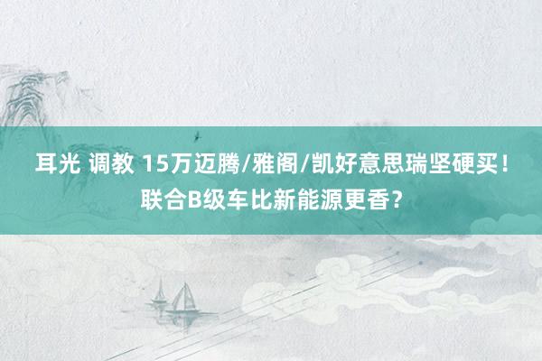 耳光 调教 15万迈腾/雅阁/凯好意思瑞坚硬买！联合B级车比新能源更香？